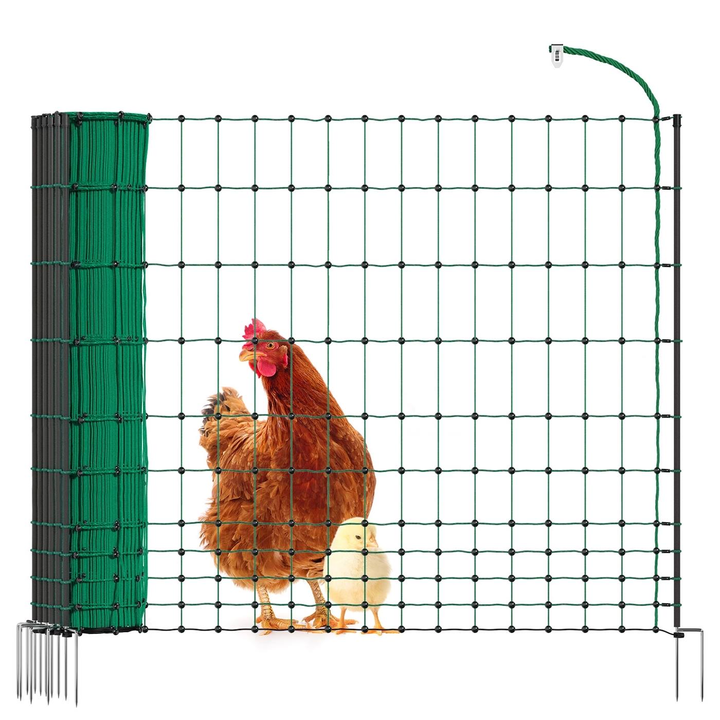 Une poule et un poussin se tiennent derrière un filet à volaille VOSS.farming classique de 50m de haut, 106cm de haut, avec 16 piquets et un filet vert.