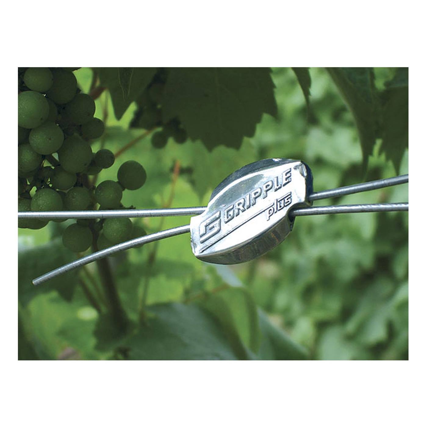 Diagramme montrant les étapes d'insertion et de mise en tension des fils avec le connecteur de fils 5x Gripple "moyen", Ø 2,0 - 3,25 mm (marque : Gripple), y compris les flèches et le texte en français.