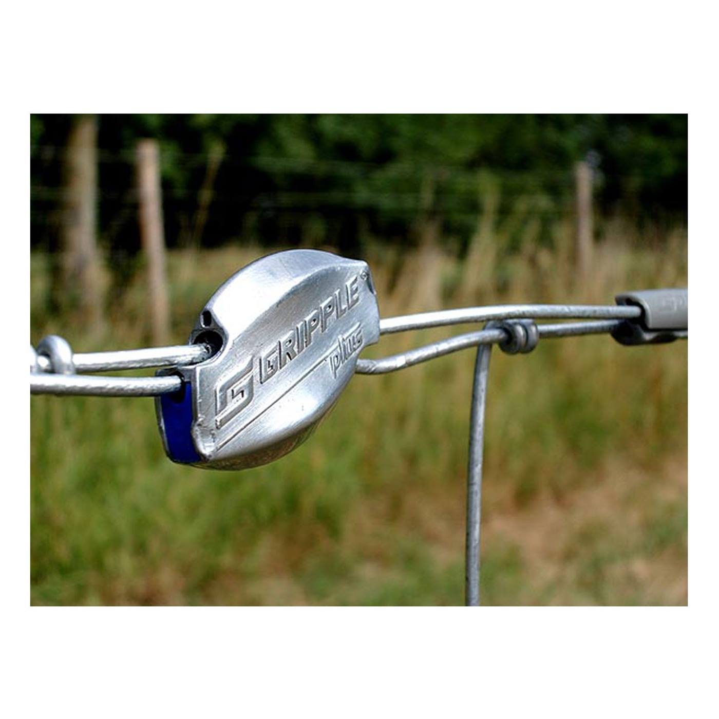 Gros plan sur un connecteur Gripple "moyen" (Ø 2,0-3,25 mm) de Gripple pour fixer deux fils entre des feuilles de vigne vertes et des raisins non mûrs. Le paquet contient 5 connecteurs de fils.