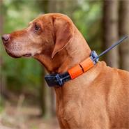 Dispositif de localisation des chiens GPS X22 de Dogtrace, lot avantageux pour 2 chiens - localisation des chiens pour la chasse, ORANGE