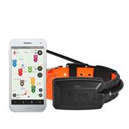 Collier de rechange GPS X30 de Dogtrace, collier supplémentaire, émetteur/récepteur supplémentaire pour appareil de localisation des chiens