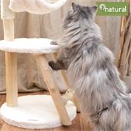 Arbre à chat VOSS.pet, design en bois véritable "Bany" - Bois naturel premium de l"arbre Tanoak, 82cm