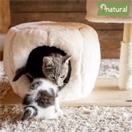 Arbre à chat en bois naturel "Mary" de VOSS.pet - avec niche griffoir design premium, 42cm
