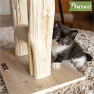 Arbre à chat en bois véritable "Morea" de VOSS.pet - Colonne griffoir premium, bois naturel de l"arbre Tanoak, 43cm