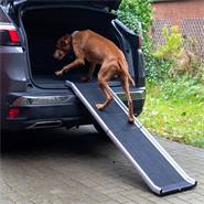 Rampe pour chiens, pliable - aide d´accès à la voiture pour les chiens, aluminium
