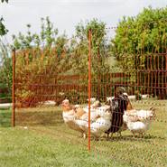 Piquet de renfort pour les filets de clôture, noir, 120 cm, Ø14 mm, galvanisé