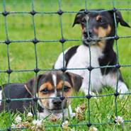 Clôture pour les chiens, enclos pour les chiots, clôture pour les lapins petNET+ de VOSS.pet, 10 m, 65 cm, 9 piquets premium, 1 pointe, vert
