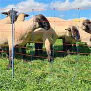 Filet de clôture électrique AKO TitanNet Premium pour ovins, 50 m, 90 cm, 14 piquets deux pointes  renforcés, renforts verticaux rigides, bleu-orange