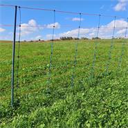 Filet de clôture électrique AKO TitanNet Premium pour ovins, 50 m, 90 cm, 14 piquets renforcés, 1 pointe, renforts verticaux, bleu-orange