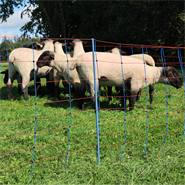 Filet de clôture électrique AKO TitanNet Premium pour ovins, 50 m, 90 cm, 14 piquets deux pointes  renforcés, renforts verticaux rigides, bleu-orange