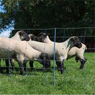 Filet pour moutons AKO TitanNet Premium Plus 50 m, 108 cm, 14 piquets renforcés, 2 pointes, renforts rigides, bleu-blanc