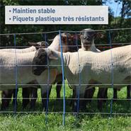 Filet de clôture électrique AKO TitanNet Premium Plus pour ovins, 50 m, 90 cm, 14 piquets, double pointe, renforts verticaux rigides, bleu-blanc