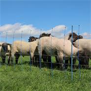 Filet pour moutons AKO TitanNet Premium Plus 50 m, 108 cm, 14 piquets renforcés, 2 pointes, renforts rigides, bleu-blanc