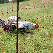 Clôture pour les poules, filet pour les volailles classic de VOSS.farming 50 m, 106 cm, 16 piquets, 2 pointes, orange