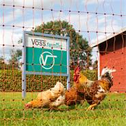 Filet électrifiable farmNET de VOSS.farming, pour volailles, 50 m, 112 cm, 16 piquets, 2 pointes, orange