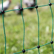 Clôture pour les poules, clôture/filet pour les volailles classic de VOSS.farming 25 m, 106 cm, 9 piquets, 2 pointes, vert, non éléctrifiable