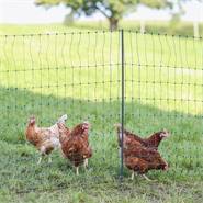 Filet de clôture électrique pour les volailles PoultryNet Premium de AKO, 25 m, 106 cm, 9 piquets renforcés, 2 pointes, vert