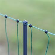 Filet de clôture pour volailles AKO PoultryNet Premium longueur 50m, filet à volaille 122cm, 15 piquets renforcés, 2 pointes, vert, non électrifiable