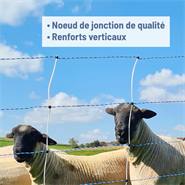 Filet pour moutons AKO TitanNet Premium Vario 50 m, protection anti-loup, 122 cm, 14 piquets renforcés, 2 pointes, bleu-blanc