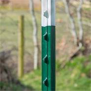 50 x piquets métalliques en T de VOSS.farming pour clôtures fixes, 182 cm