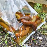 60 pièges à escargots SlugEx de VOSS.garden, pour combattre les escargots sans poison, piège à bière