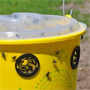 KIT : Piège à mouches Flybusters + appât 240 g - protection de l"étable et du pré contre les mouches