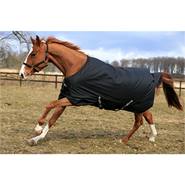 Couverture d'hiver RugBe IceProtect 200 g pour chevaux, 200 g, polyester 600 deniers