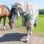 Bandeau franges anti-mouches cheval et poney, QHP, avec sous-gorge, taille pur-sang (Cob), noir
