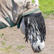 Bandeau franges anti-mouches pour cheval et poney, QHP, avec sous-gorge