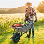 Brouette VOSS.farming - 90 litres, capacité de charge 220kg, cuve galvanisée, pneus gonflables avec jante en métal