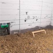 Perchoir à poules VOSS.farming, à poser sur le sol, pour poulailler et enclos extérieur