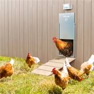 VOSS.farming Poultry Kit - Portier automatique pour poulailler