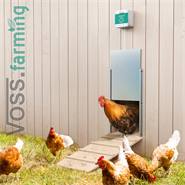 KIt : VOSS.farming Chicken Door + trappe de poulailler, en alu 430 x 400 mm
