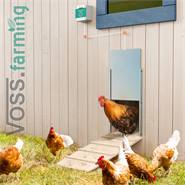 KIt : VOSS.farming Chicken Door + trappe de poulailler, en alu 430 x 400 mm