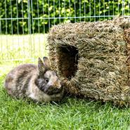 Maison végétale XL en herbe séchée, abri et passe-temps pour lapins et rongeurs