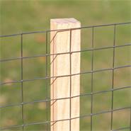9x piquet de clôture VOSS.garden, en hêtre, 45 cm, piquet de plantation, tuteur pour plantation, 2,7 x 2,7 cm