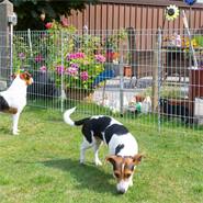 Clôture à panneaux rigides, galvanisée de VOSS.garden, 80x460 cm, pour le jardin, enclos pour petits animaux, protection de bassin