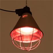 Lampe infrarouges à économie d'énergie PAR 38, 100 W - Lampe, ampoule à infrarouges à économie d'énergie, rouge