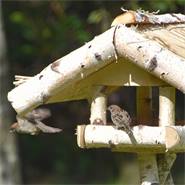 Maison d’oiseaux à toit de chaume, VOSS.garden "Holm", avec support