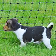 Clôture pour chiens, enclos pour les chiots, clôture pour les lapins petNET de VOSS.pet, 12 m, 65 cm, 9 piquets, 1 pointe, vert