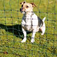 Clôture pour chiens, enclos pour les chiots, clôture pour les lapins petNET de VOSS.pet, 12 m, 65 cm, 9 piquets, 1 pointe, vert