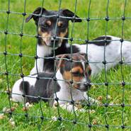 Clôture pour chiens, enclos pour les chiots, clôture pour les lapins petNET+ de VOSS.pet, 15 m, 65 cm, 14 piquets, 1 pointe, vert