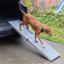 Rampe télescopique pour chiens - aide d´accès à la voiture pour les chiens, aluminium