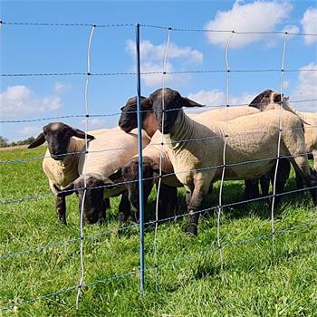 30010-1-filet-pour-moutons-ako-titannet-premium-vario-50-m-protection-anti-loup-122-cm-14-piquets-re