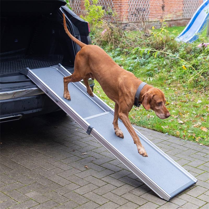 Rampe télescopique pour chiens - aide d´accès à la voiture pour les chiens,  aluminium