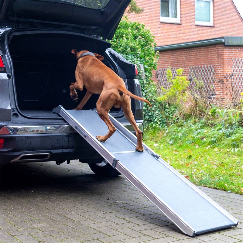 Rampe pour chiens, pliable - aide d´accès à la voiture pour les chiens,  aluminium