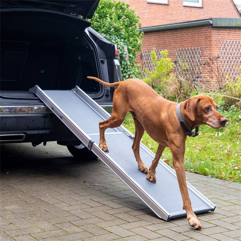 La rampe d'accès au coffre de voiture pour chien