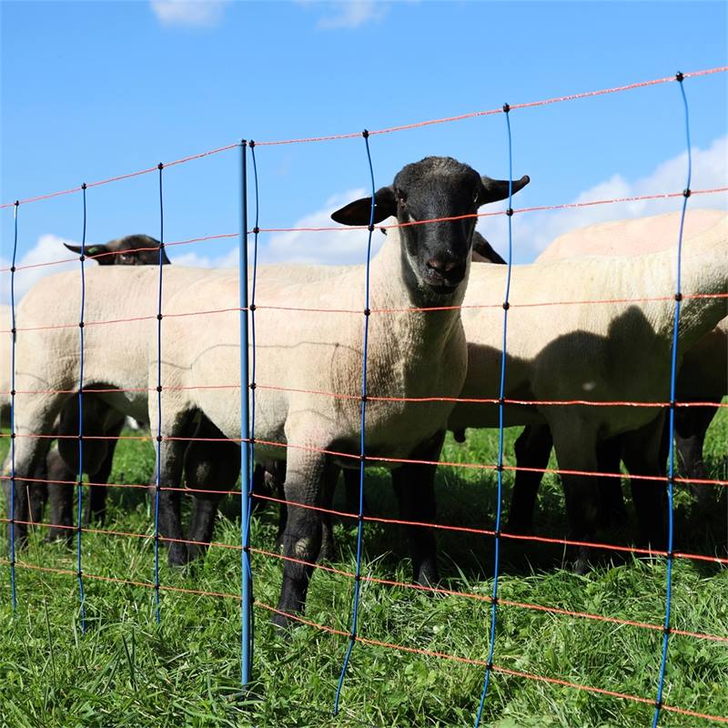 Grillage noué Prairie Galvanisé 80 cm / 50M pour Moutons et Poneys