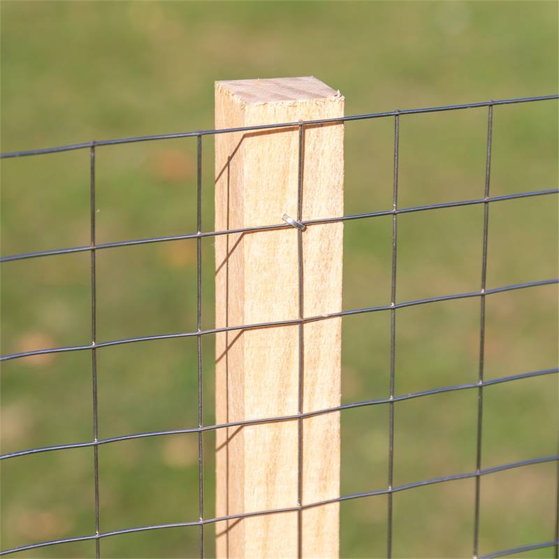 Pour quels animaux une clôture avec un treillis métallique est-elle  appropriée ?