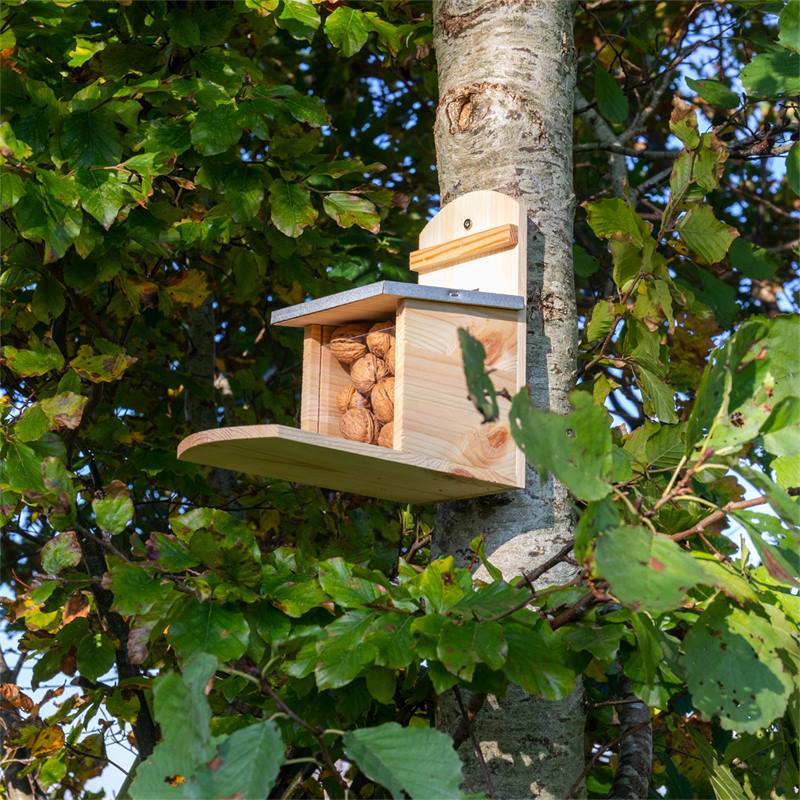 Mangeoire à oiseaux ronde avec cage résistante aux écureuils de PINEBUSH  HOME AND GARDEN